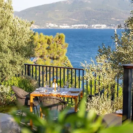 Loft Hotel Bodrum